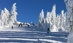 Ski Bild